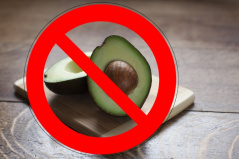fruta prohibida para loros cuales son y por que debes evitarlas